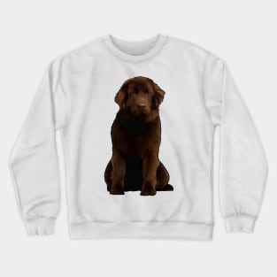 Newfoundland Dog Newfie Crewneck Sweatshirt